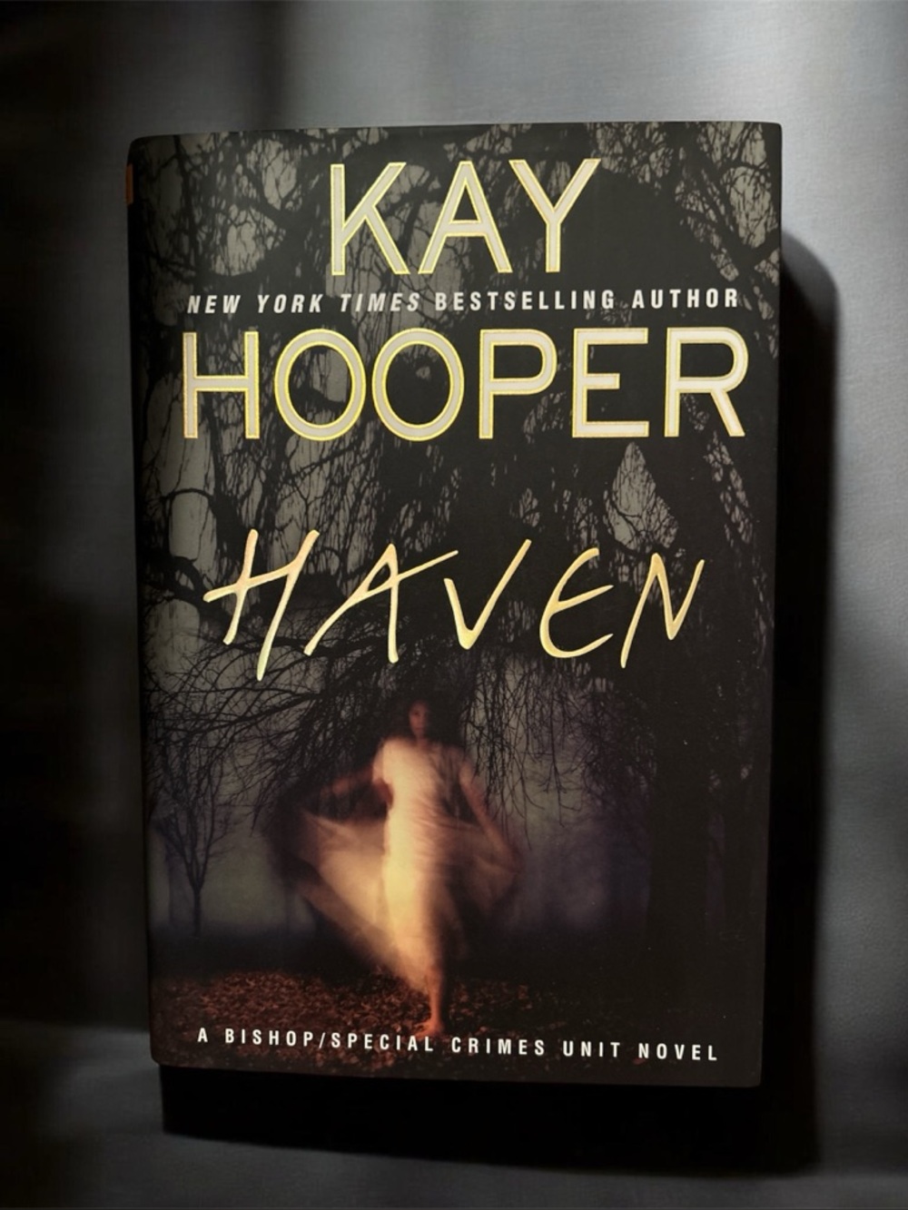 Mystery/Thriller Kay Hooper "Haven" Hardcover Novel